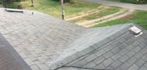 Before & After Roof Cleaning in Kississimme, FL (2)