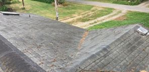 Before & After Roof Cleaning in Kississimme, FL (1)