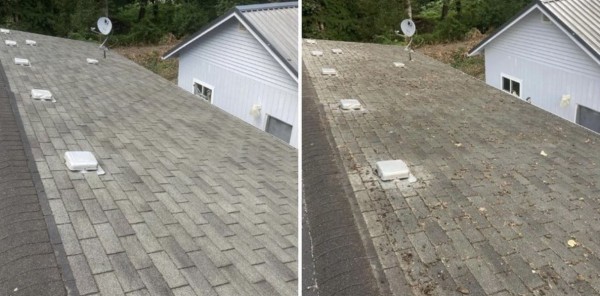 Before & After Roof Cleaning in Orlando, FL (1)